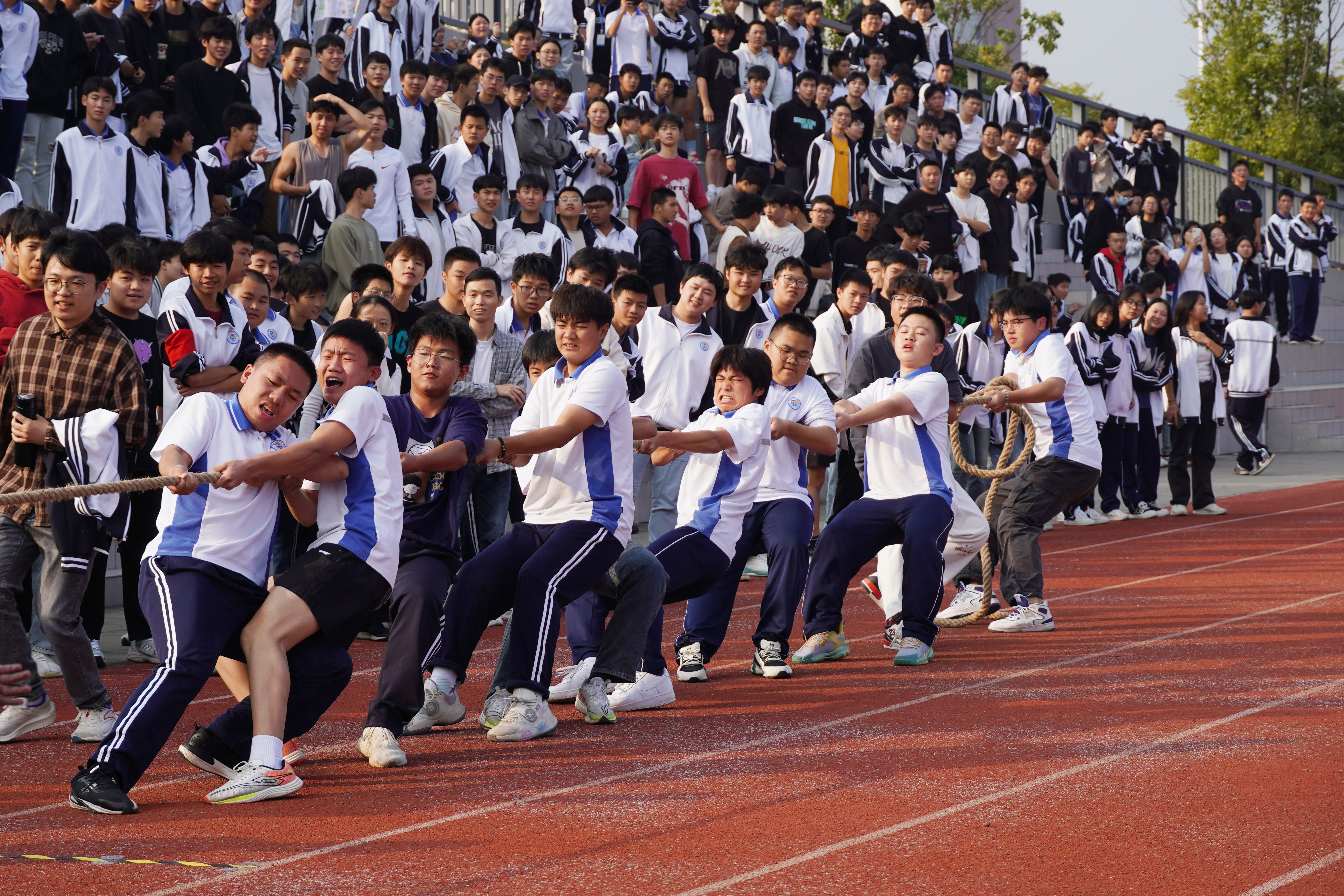 1701655804918430752.jpg DSC00258副本.jpg